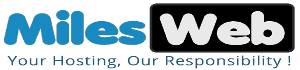 Digital Marketing Resources/ MileWeb logo. The Affordable Web Hosting